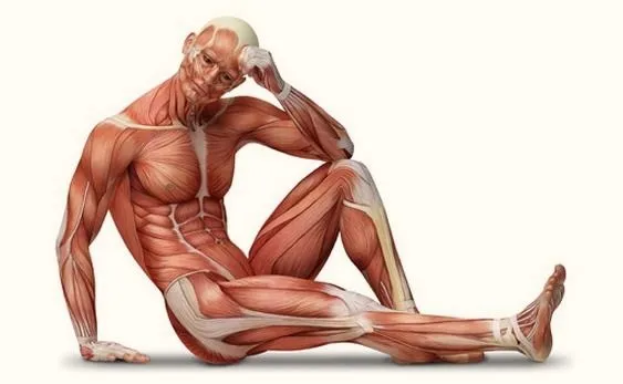 Jakie przedmioty na studiach z zakresu fizjoterapii warto znać?