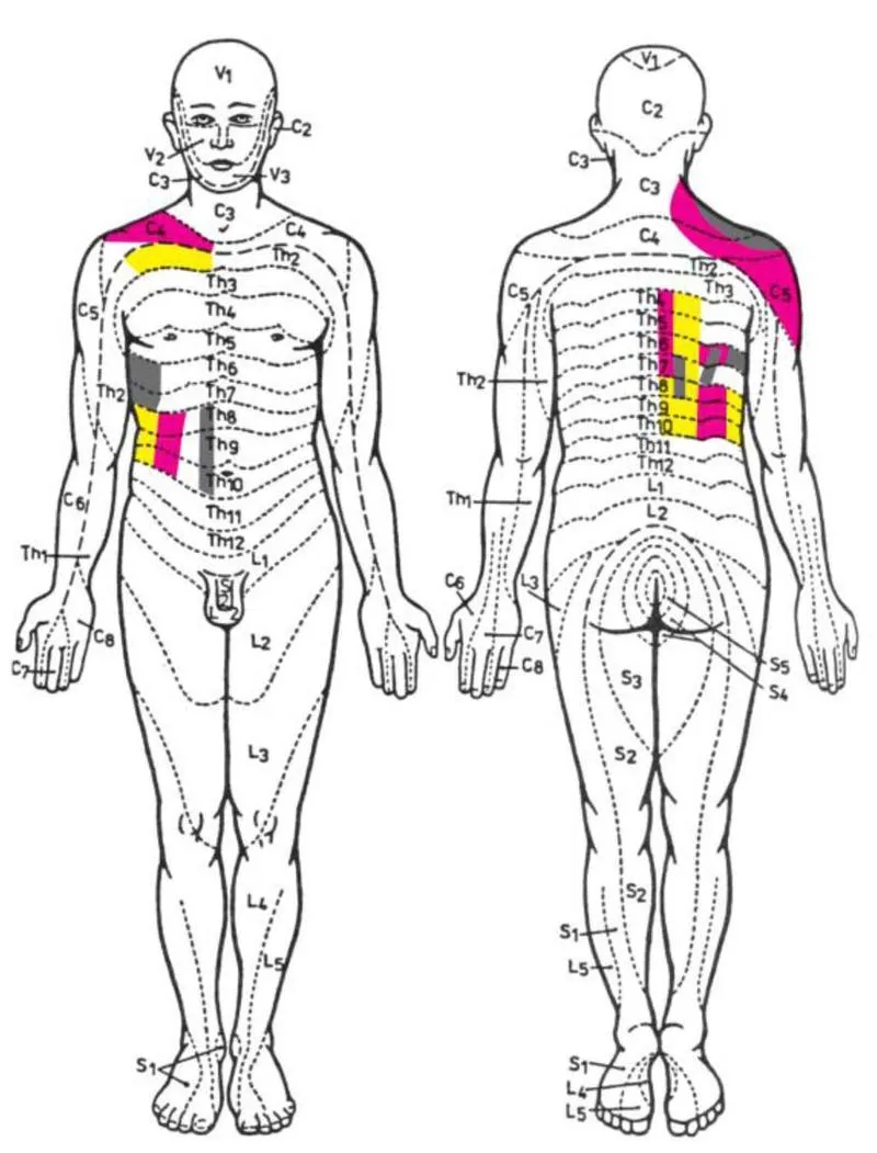Techniki masażu segmentarnego