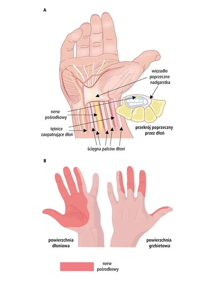 Terapia manualna i ultradźwięki